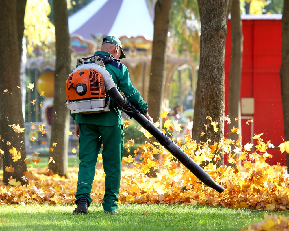 Ramassage de feuilles d'automne à Sherbrooke